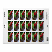 バラ素朴カウボーイブーツカントリーウェスタン結婚ズ ラベル (フルシート)