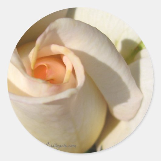 バラ結婚芽封筒用シール ラウンドシール (正面)