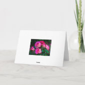 バラ美しいカード シーズンカード (裏面)