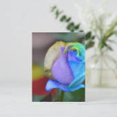 バラ自然ランドスケープおめでとうスマイル ポストカード (スタンド正面)