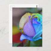 バラ自然ランドスケープおめでとうスマイル ポストカード (正面/裏面)