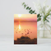 バラ色と桃色の湖の夕日 ポストカード (スタンド正面)