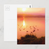 バラ色と桃色の湖の夕日 ポストカード (正面/裏面)