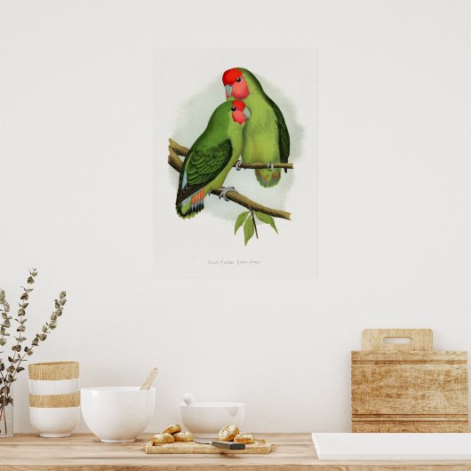 バラ色の愛鳥 ポスター (キッチン)