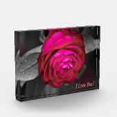 バラ色の椿がお前を愛してる！ フォトブロック (左)