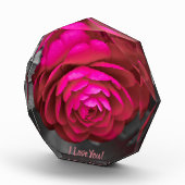 バラ色の椿がお前を愛してる！ フォトブロック (右)