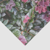 バラ色の紫の緑の葉植物写真 薄葉紙 (詳細)