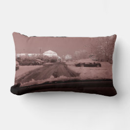 バラ色眼鏡 ランバークッション