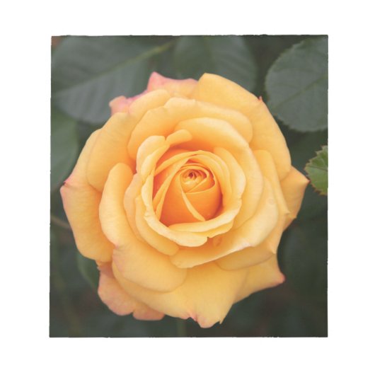 バラ花の花愛妻の恋人カップル ノートパッド (正面)