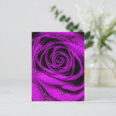 バラ花びら2 ポストカード (スタンド正面)