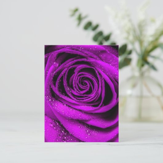 バラ花びら2 ポストカード (スタンド正面)