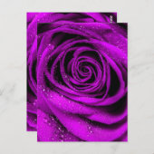 バラ花びら2 ポストカード (正面/裏面)