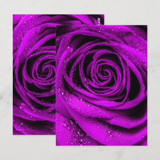 バラ花びら2 ポストカード (正面/裏面)
