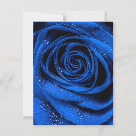 バラ花びら3 ノートカード (正面)