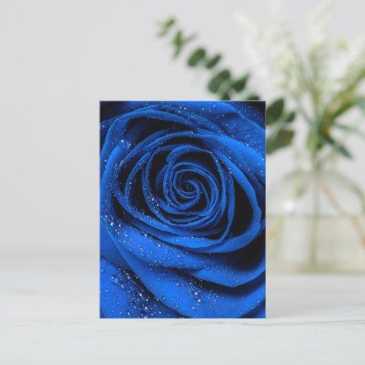 バラ花びら3 ポストカード (スタンド正面)