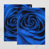 バラ花びら3 ポストカード (正面/裏面)