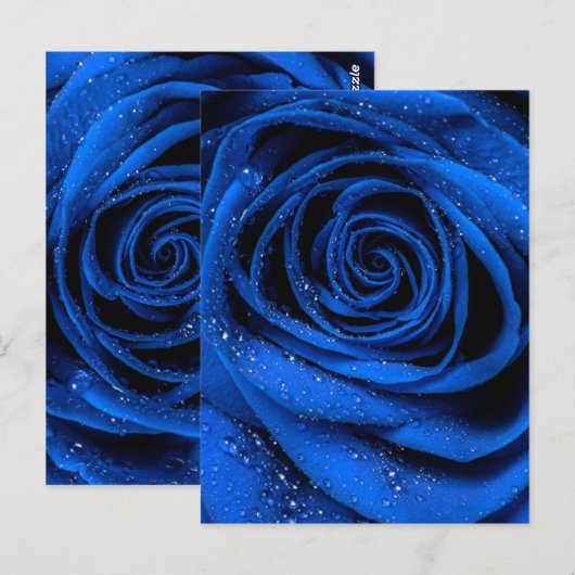 バラ花びら3 ポストカード (正面/裏面)