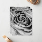 バラ花びら5 ノートカード (正面/裏面インサイチュ)