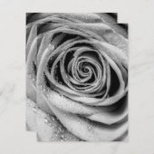 バラ花びら5 ノートカード (正面/裏面)