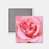 バラ花びら マグネット (正面/裏面)