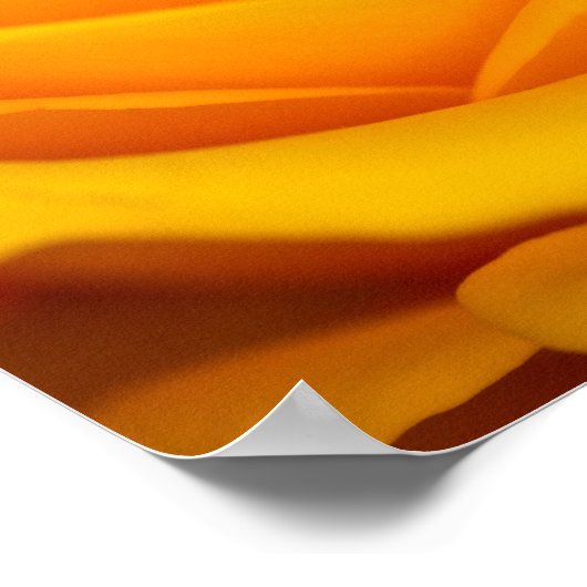 バラ花ポスター ポスター (角)