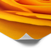 バラ花ポスター ポスター (角)