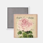 バラ花ヴィンテージフェミニンフローラ磁石 マグネット (正面/裏面)