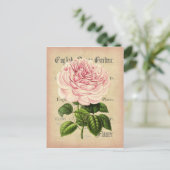 バラ花ヴィンテージフェミニンフローラ葉書 ポストカード (スタンド正面)