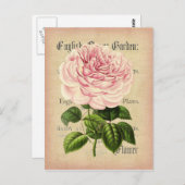 バラ花ヴィンテージフェミニンフローラ葉書 ポストカード (正面/裏面)