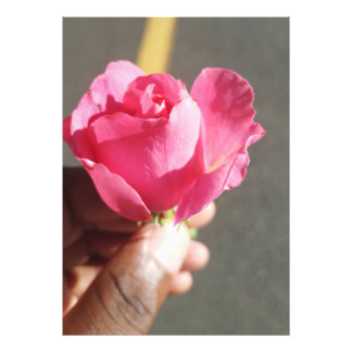 バラ花写真拡大 フォトプリント