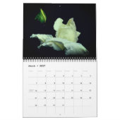 バラ花写真 カレンダー (3月 2027)