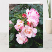バラ花紅白薔薇 カード (正面)