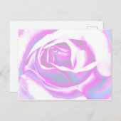 バラ芸術 ポストカード (正面/裏面)