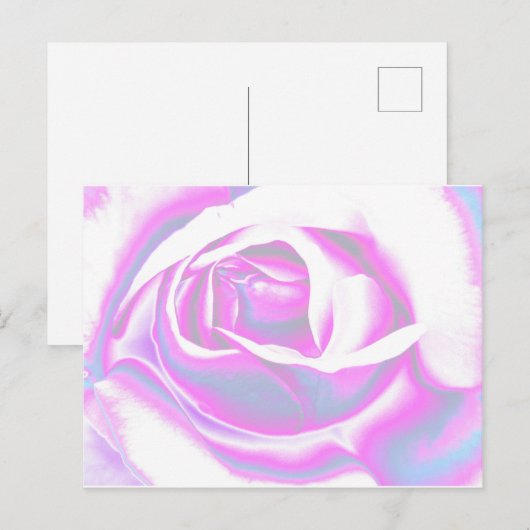 バラ芸術 ポストカード (正面/裏面)