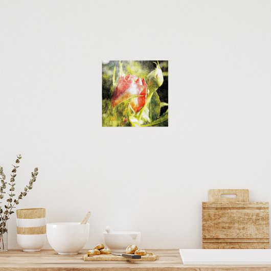 バラ芽 ポスター (キッチン)