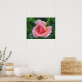 バラ芽 ポスター (キッチン)