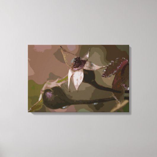 バラ芽in秋 キャンバスプリント (正面)