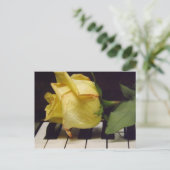 バラ葉書 ポストカード (スタンド正面)