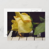 バラ葉書 ポストカード (正面/裏面)