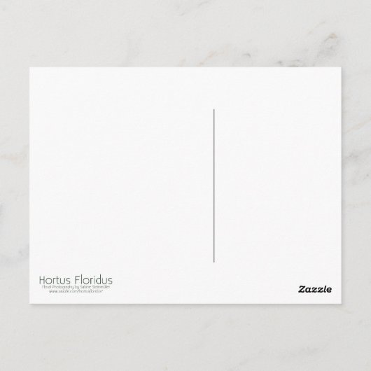 バラ誕生日はがき | ゲブルスタグサルテバラ ポストカード (裏面)