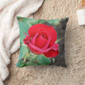 バラ赤 クッション (ブランケット)
