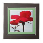 バラ赤 タイル (正面)