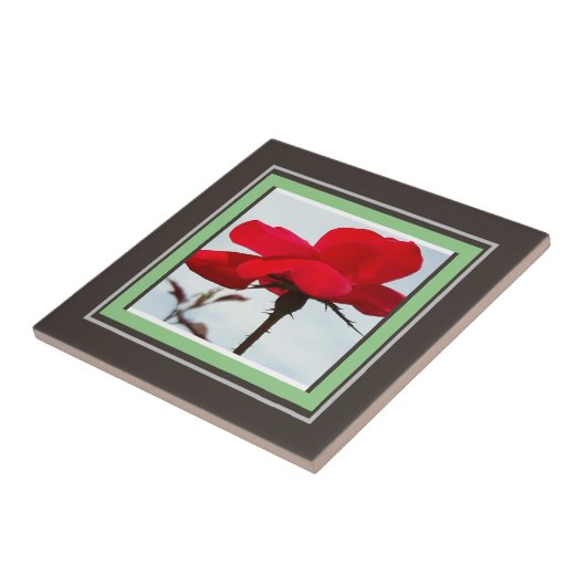 バラ赤 タイル (側面)