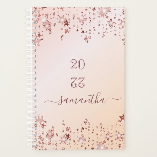 バラ金ゴールドスターアポイントメント本2025 プランナー手帳 (正面)