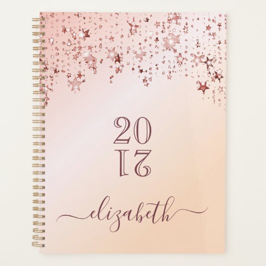 バラ金ゴールドスターアポイントメント本2026 プランナー手帳 (正面)