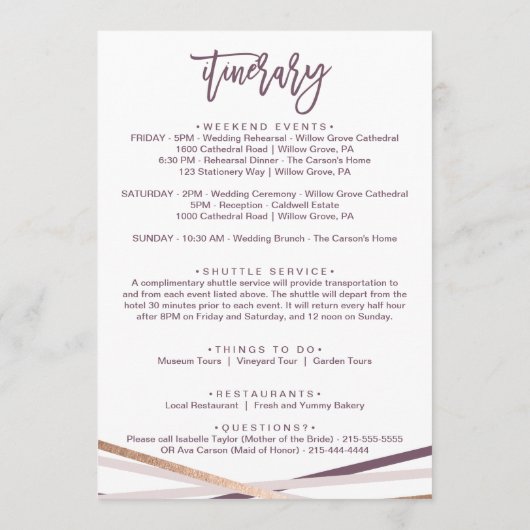 バラ金ゴールドストリーマーウェルカムレター&旅程 プログラム (裏面)