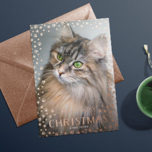 バラ金ゴールドムオウィクリスマス猫好き 箔シーズンカード