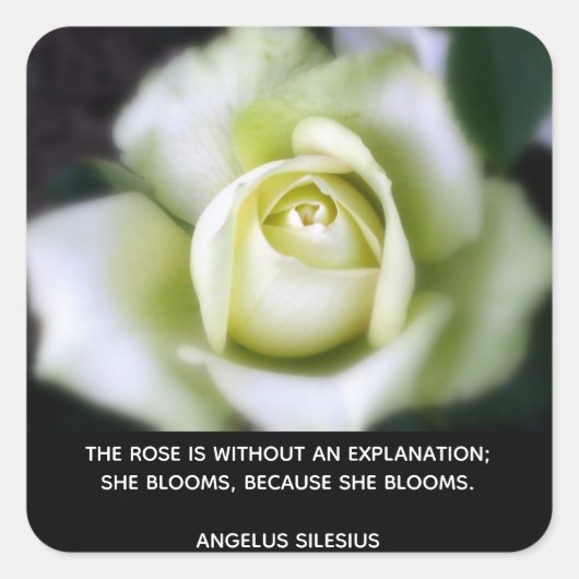 バラ開花引用文 スクエアシール (正面)