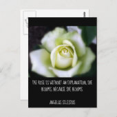 バラ開花理由引用文 ポストカード (正面/裏面)