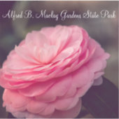 バラ開花 シール (正面)